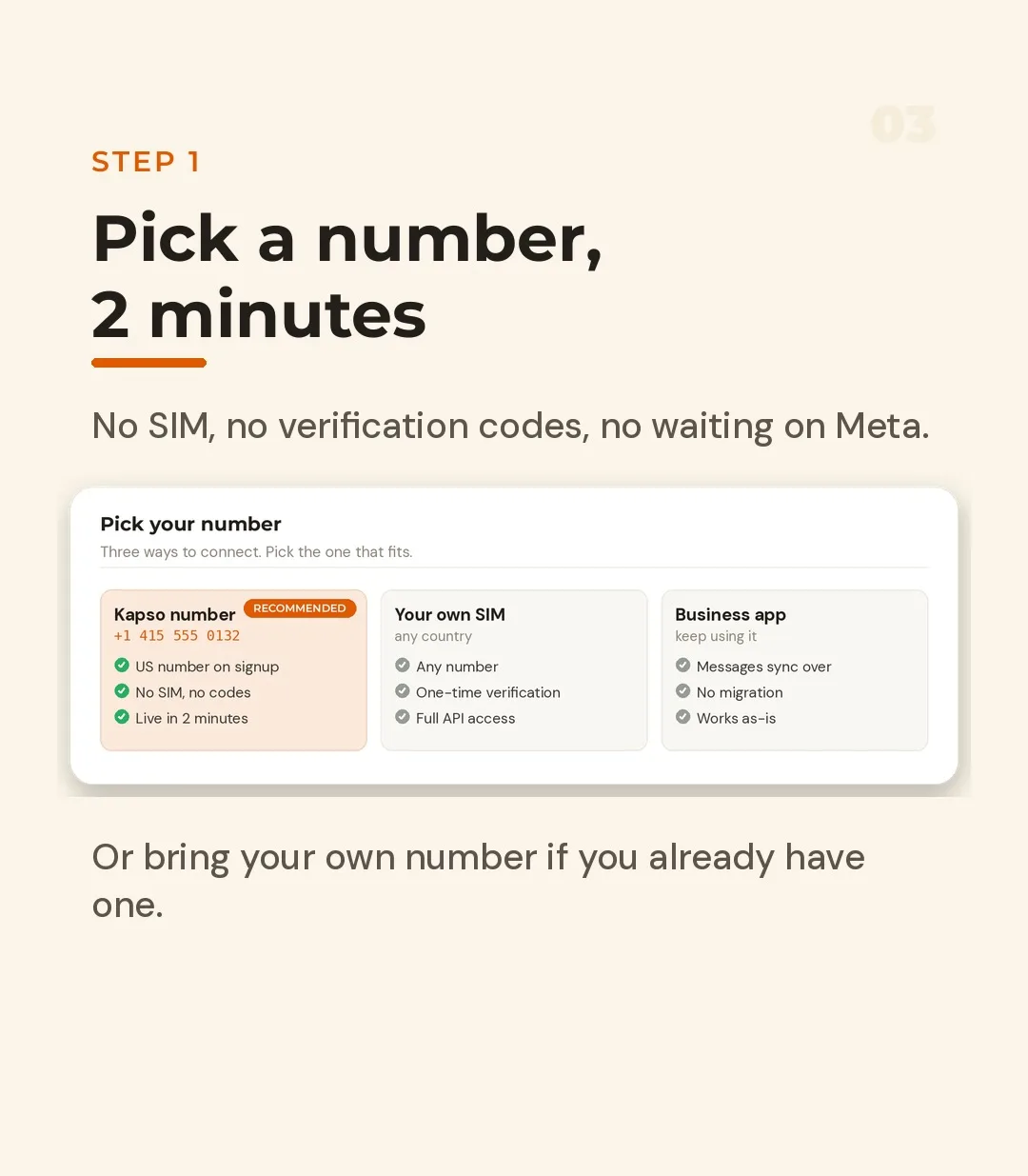 Three ways to connect: a provider-issued number, your own SIM, or an existing business app number